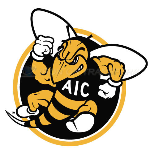 AIC Yellow Jackets 2009-Pres Alternate Logo5 Iron-on Transfers (Heat Transfers) N3690